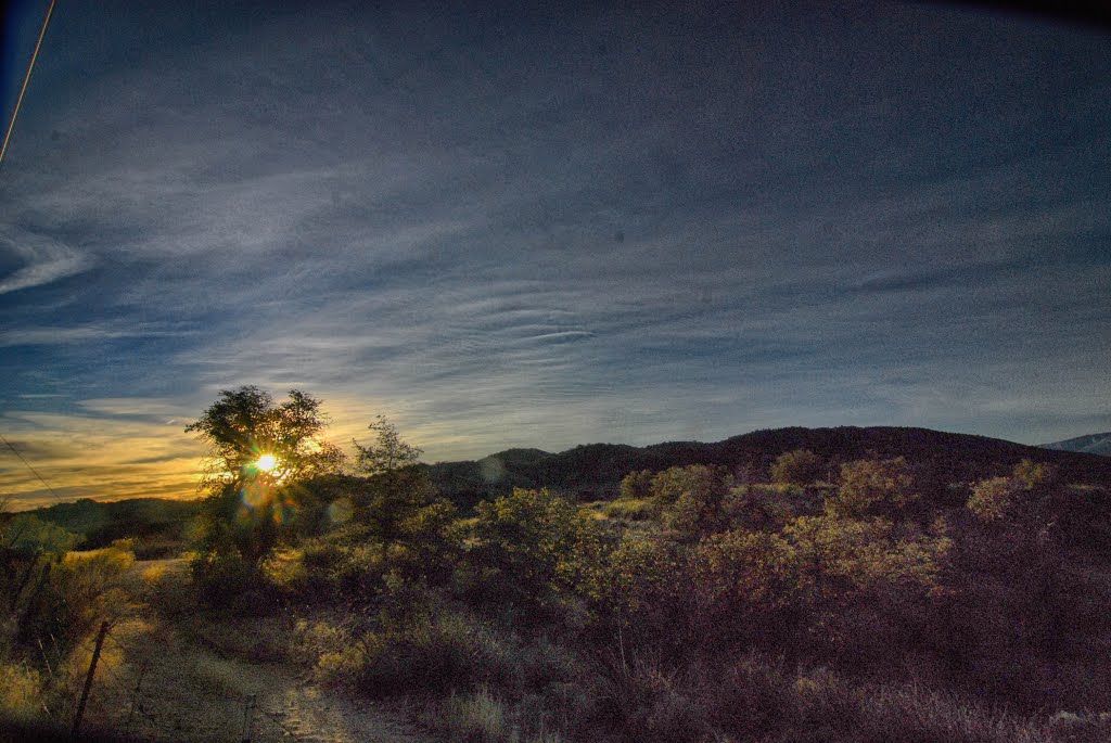 Sunrise, Oracle, Arizona.