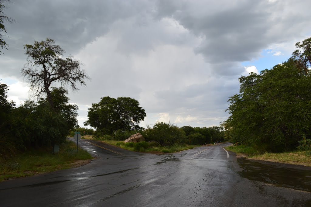 Linda Vista
