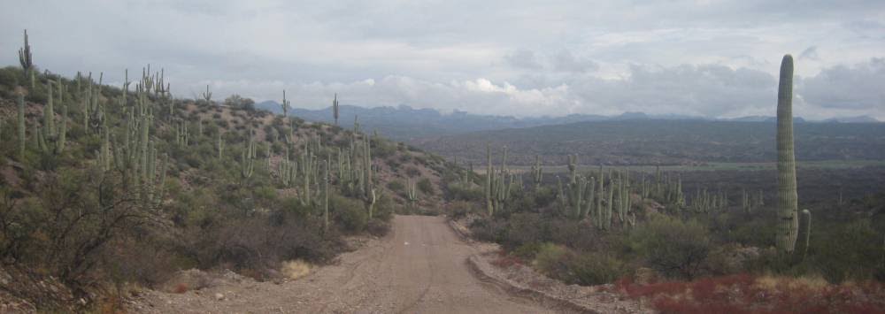 Catalina Ridge Trail