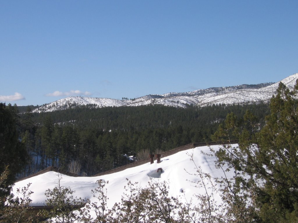 Bradshaw Mountains