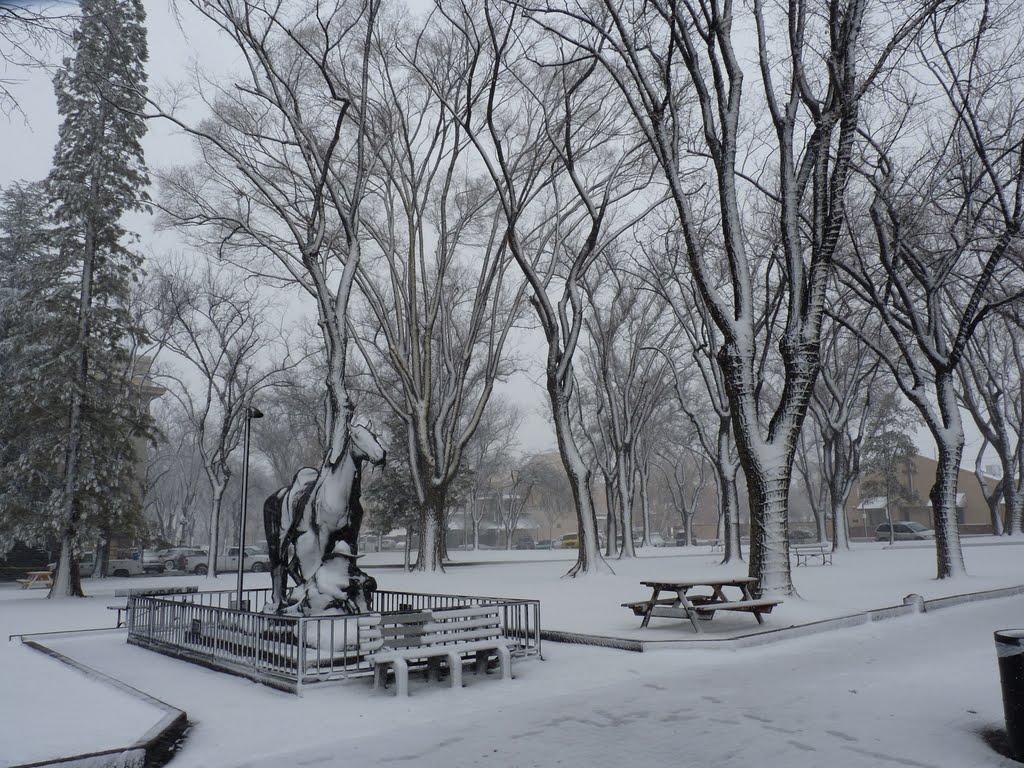 During the storm In Prescott Dec 2010