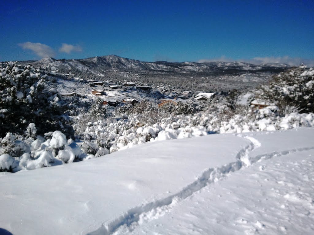 Prescott