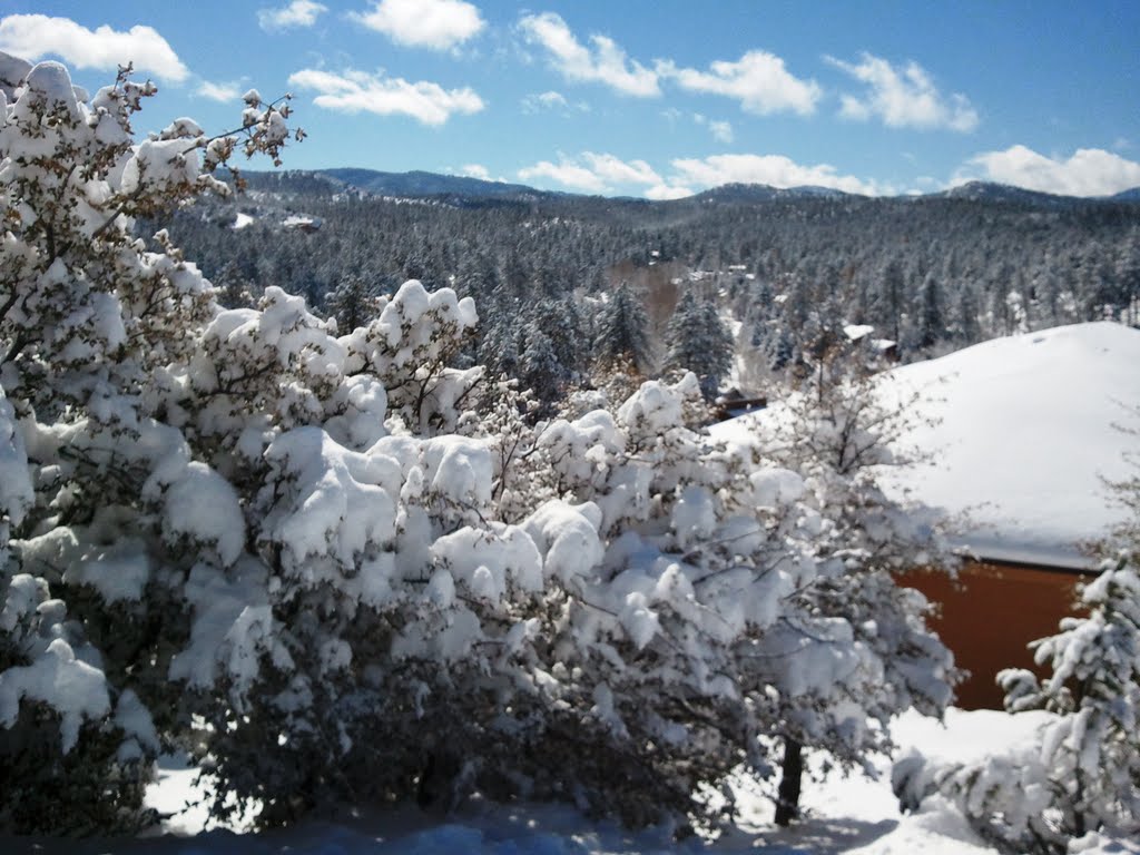Bradshaw Mountains