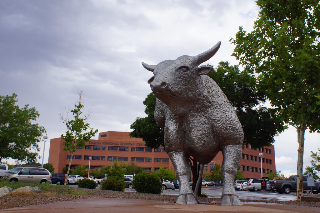 2013, "Silver Tornado" - Artist Natalie Krol, Rodeo Bull Sculpture, Yavapai Regional  Medical Center