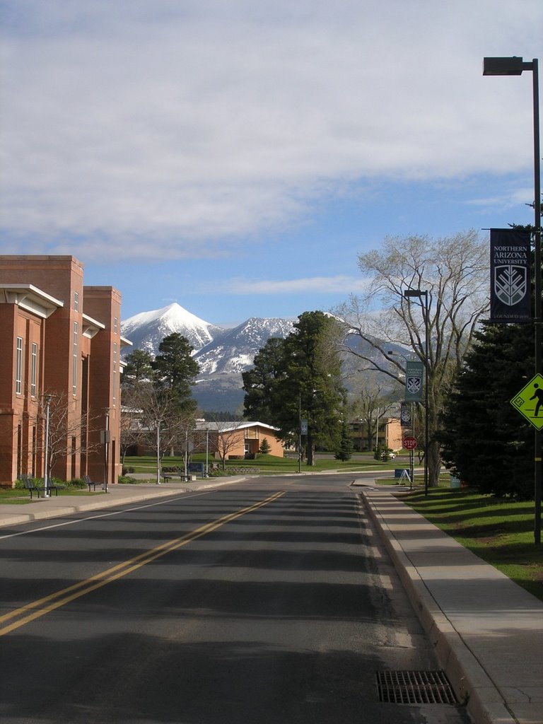 Humphrys Peak from NAU