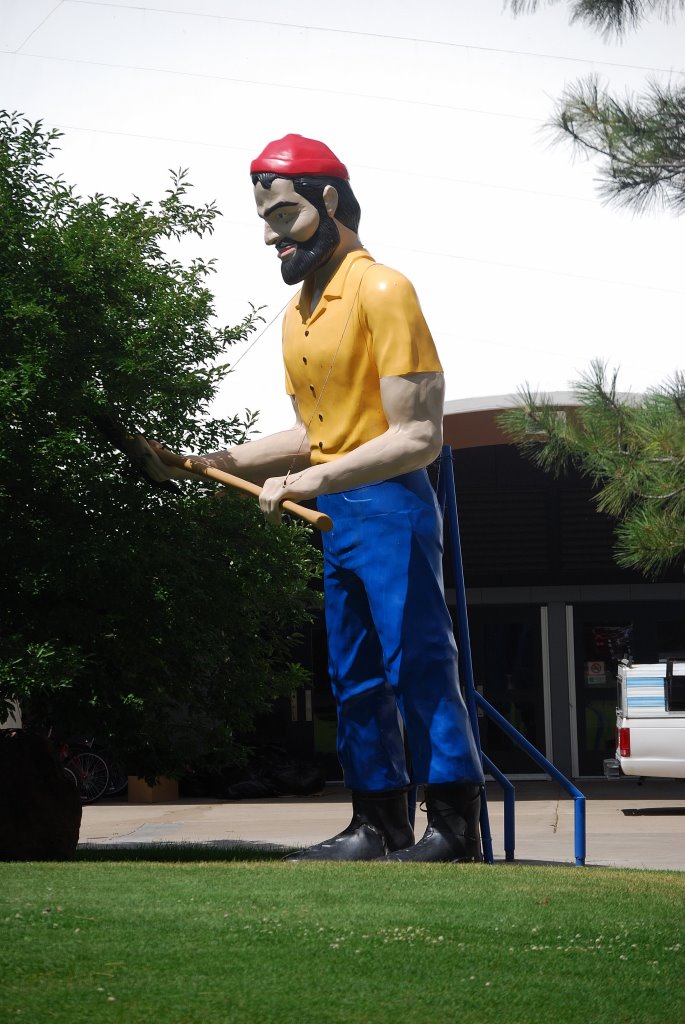 Leñador, Flagstaff, Arizona