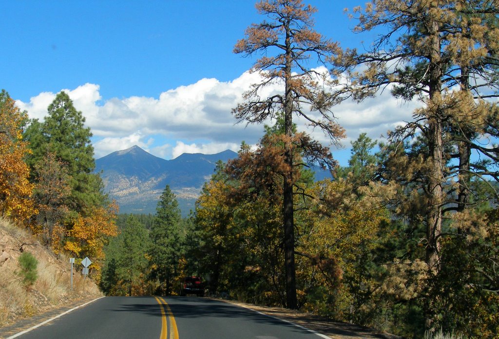 Flagstaff view 3