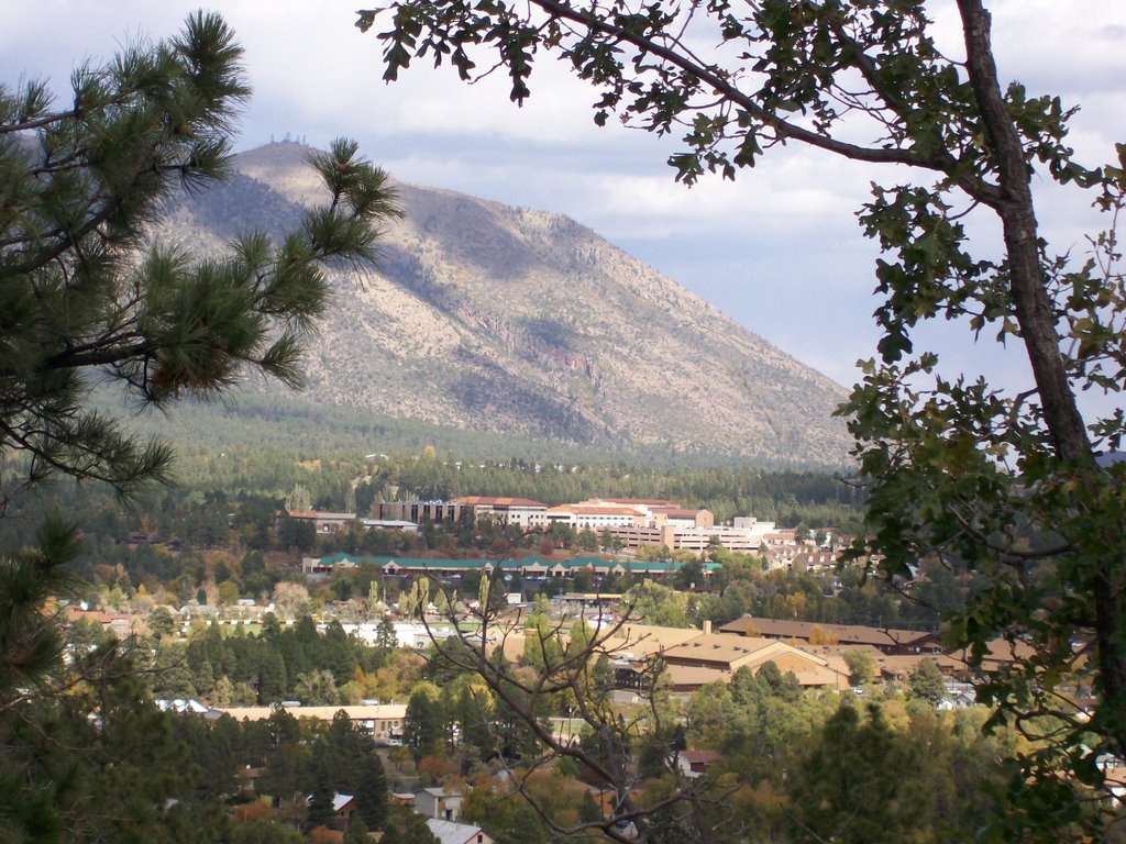 Elden Mountain and Flagstaff Medical Center