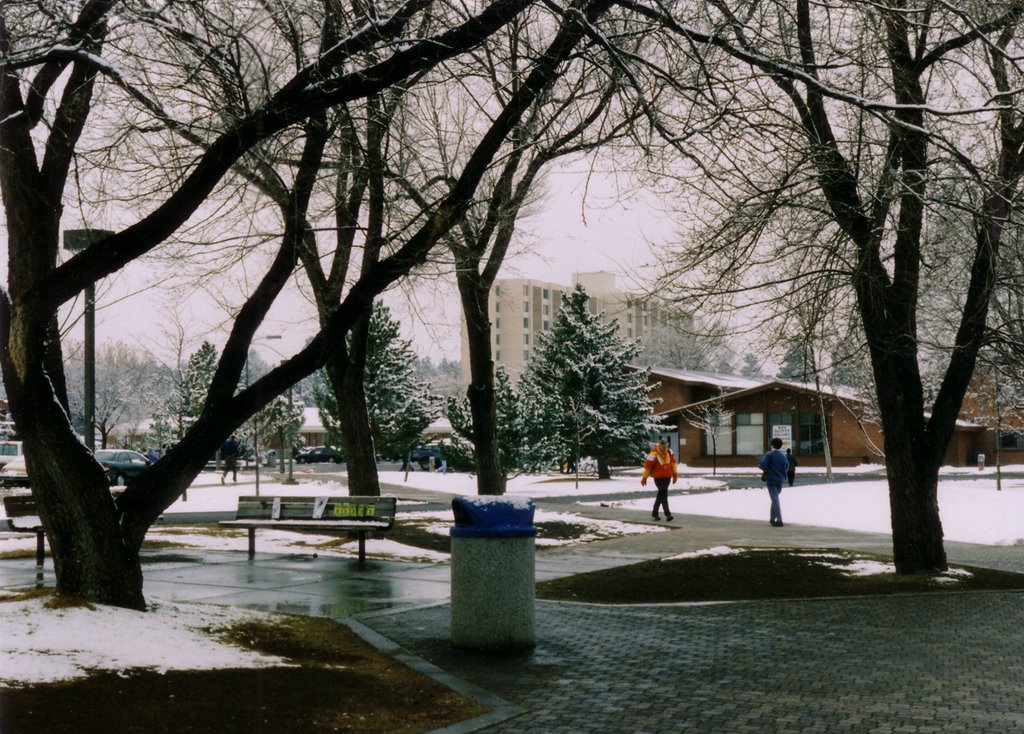 NAUs Secrist Hall circa 1998
