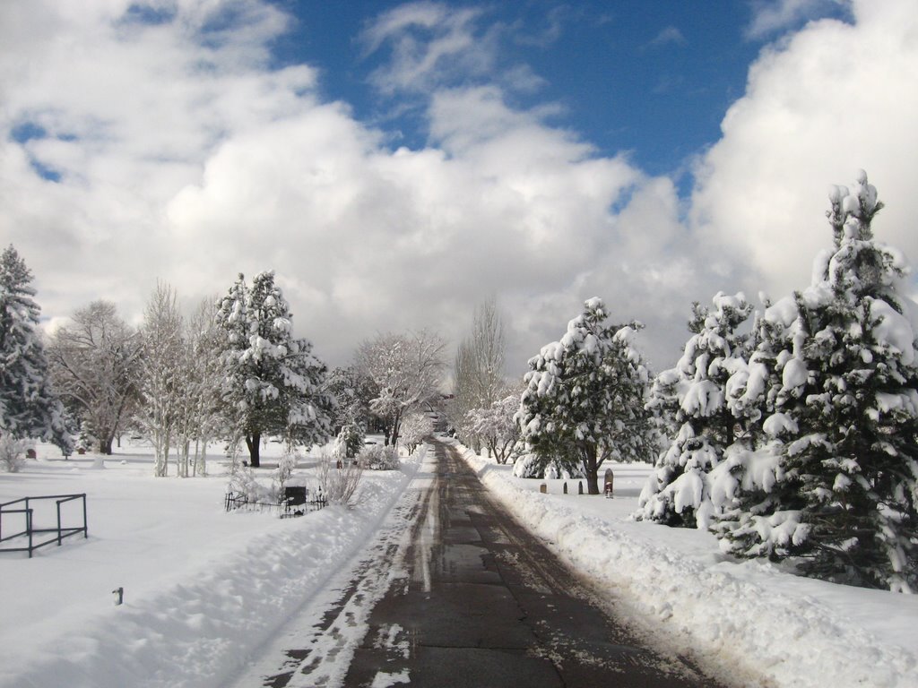 flagstaff graveyard