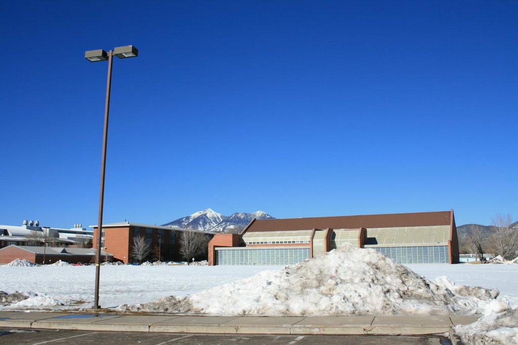 NAU - Wall Aquatic Center
