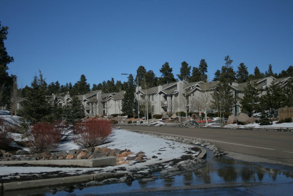 Luxury apartments near Lumberjack Hill
