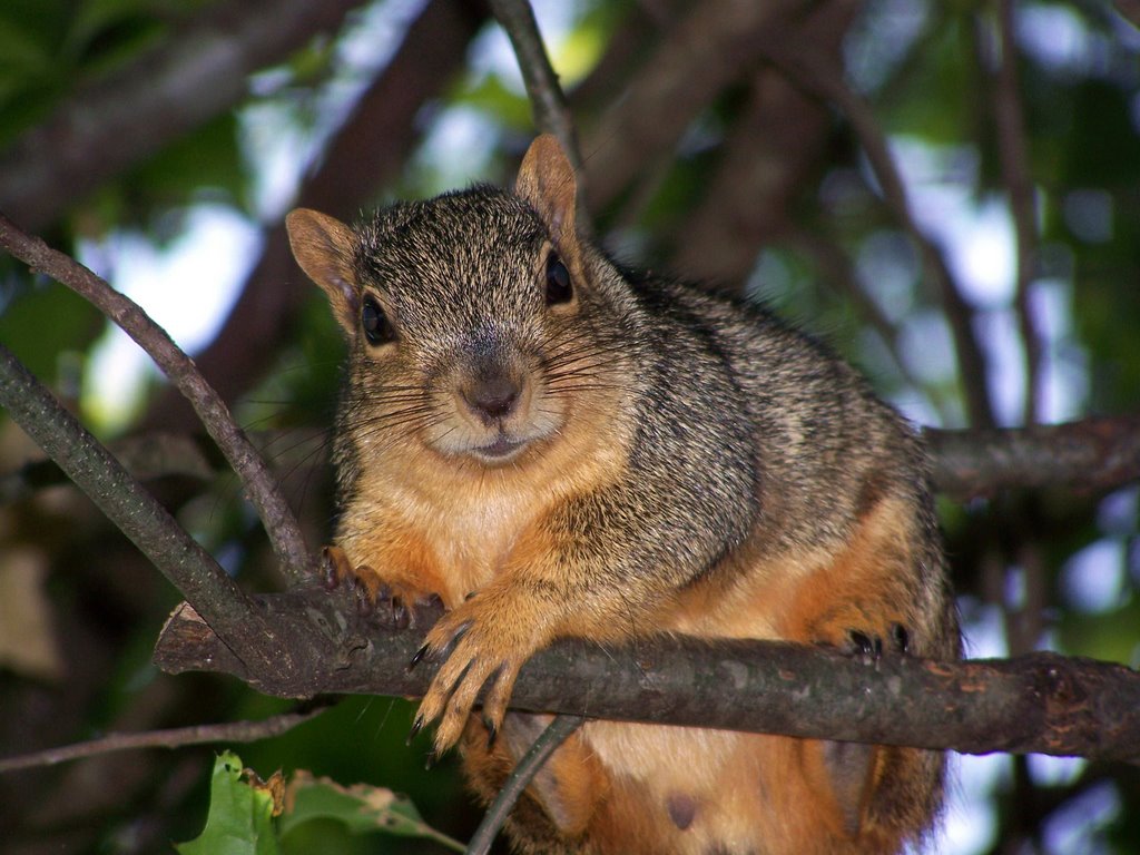 "YOU LOOKING AT ME?"