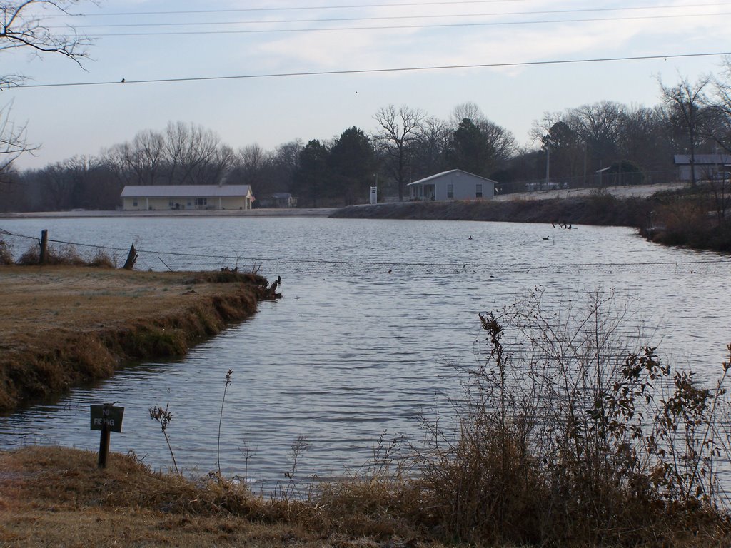 A BACKYARD POND