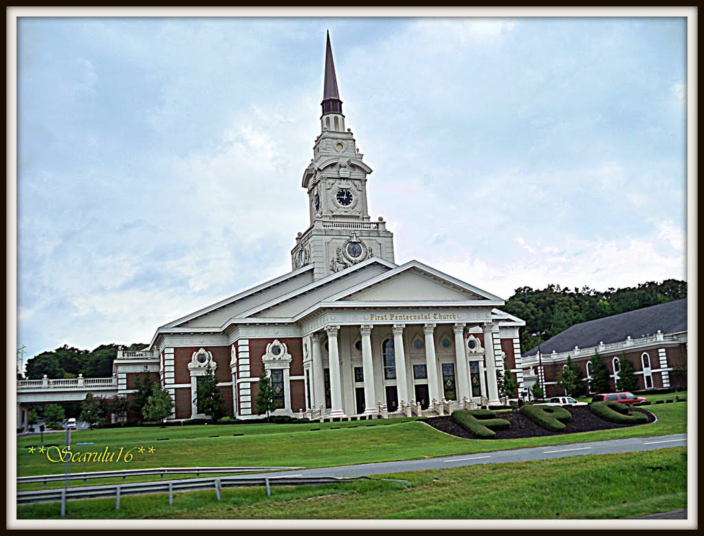 "Dove ce pace e meditazione,non ha nessun luogo lansia e il dubbio**Where is peace and meditation has, no place anxiety and doubt**Donde hay Paz y Meditacion,no tiene cabida la ansiedad y la duda!"(Fco.DAsis),Arkansas,USA