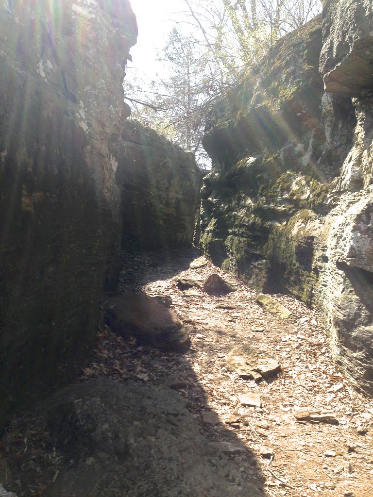 Mt Kessler trail rock formations
