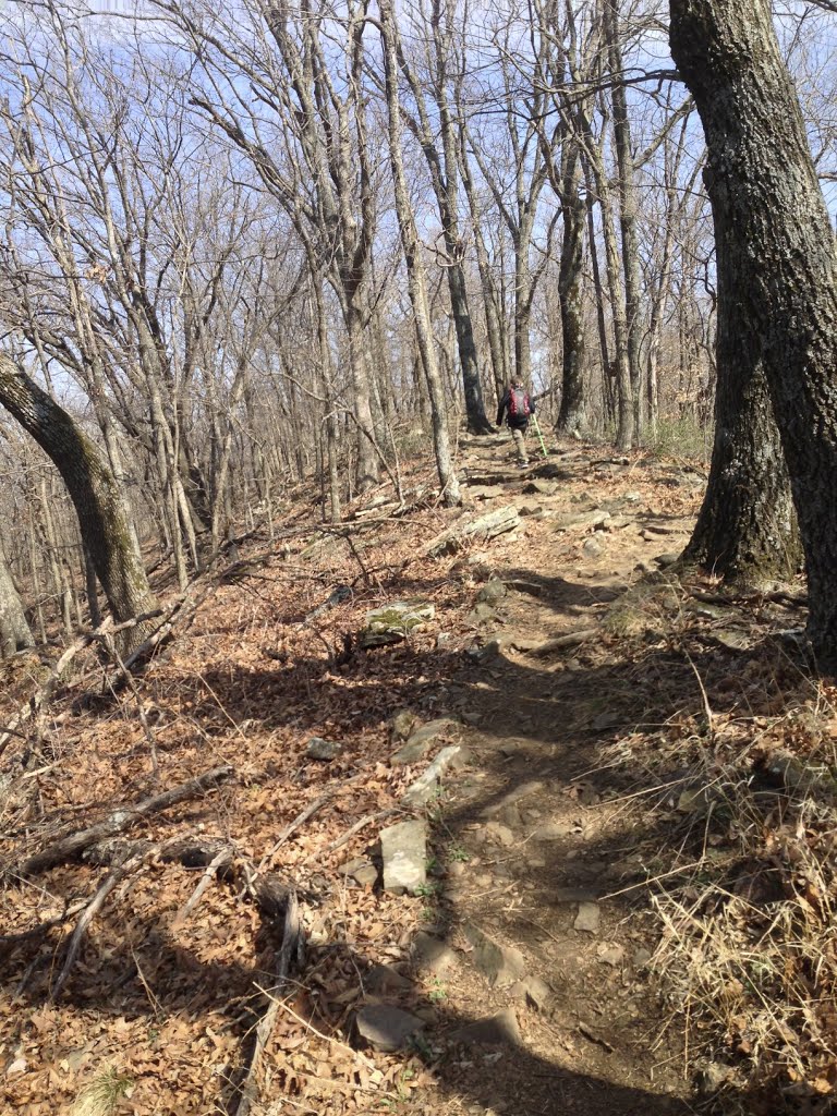 Mt Kessler trail