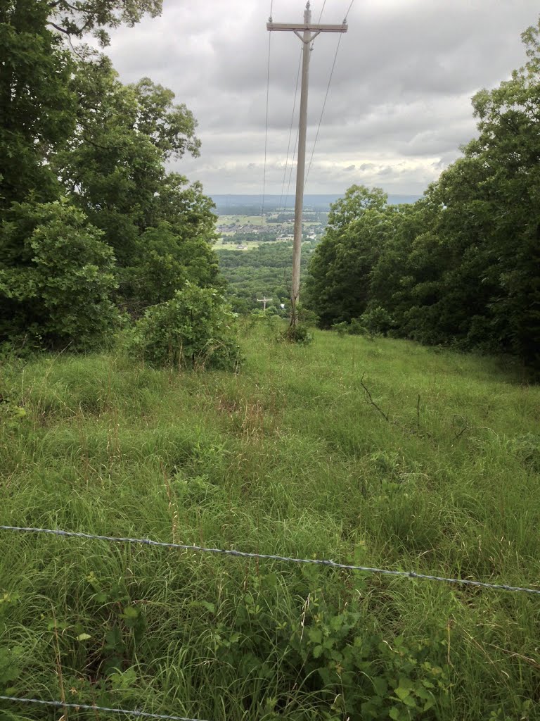 view from Mt Kessler