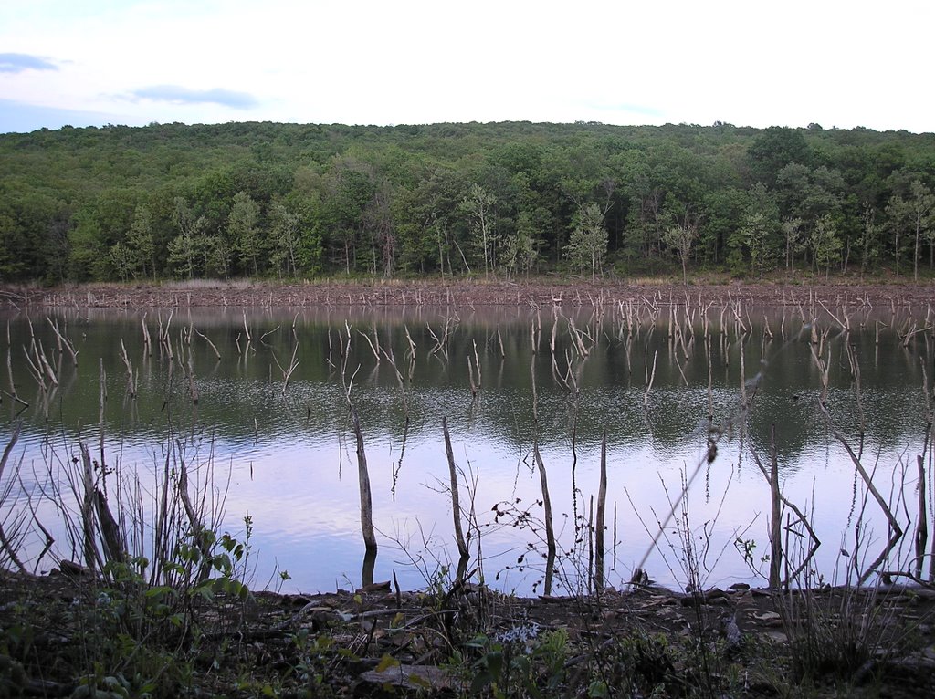 Lake Wilson