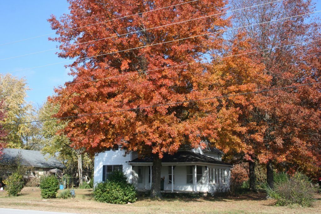 Fall in Arkansas