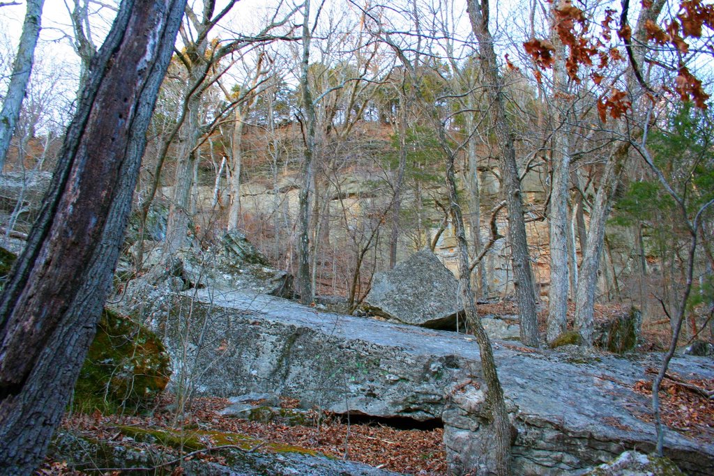 View of Bluffs