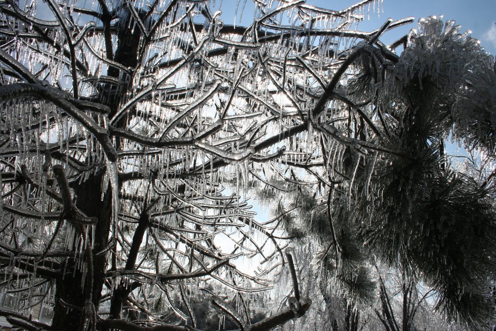 Ice Storm 2009