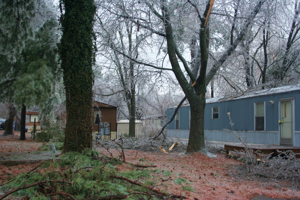 Ice Storm 2009
