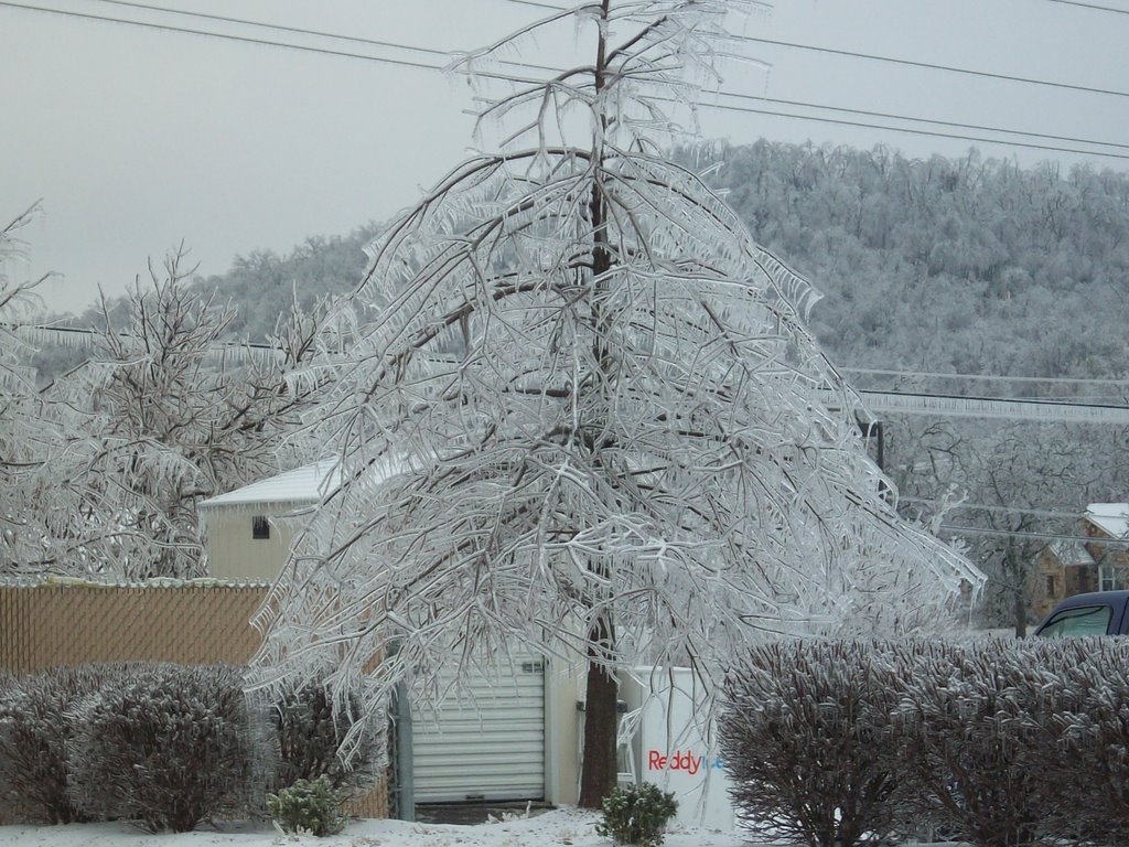 Ice Storm 2009