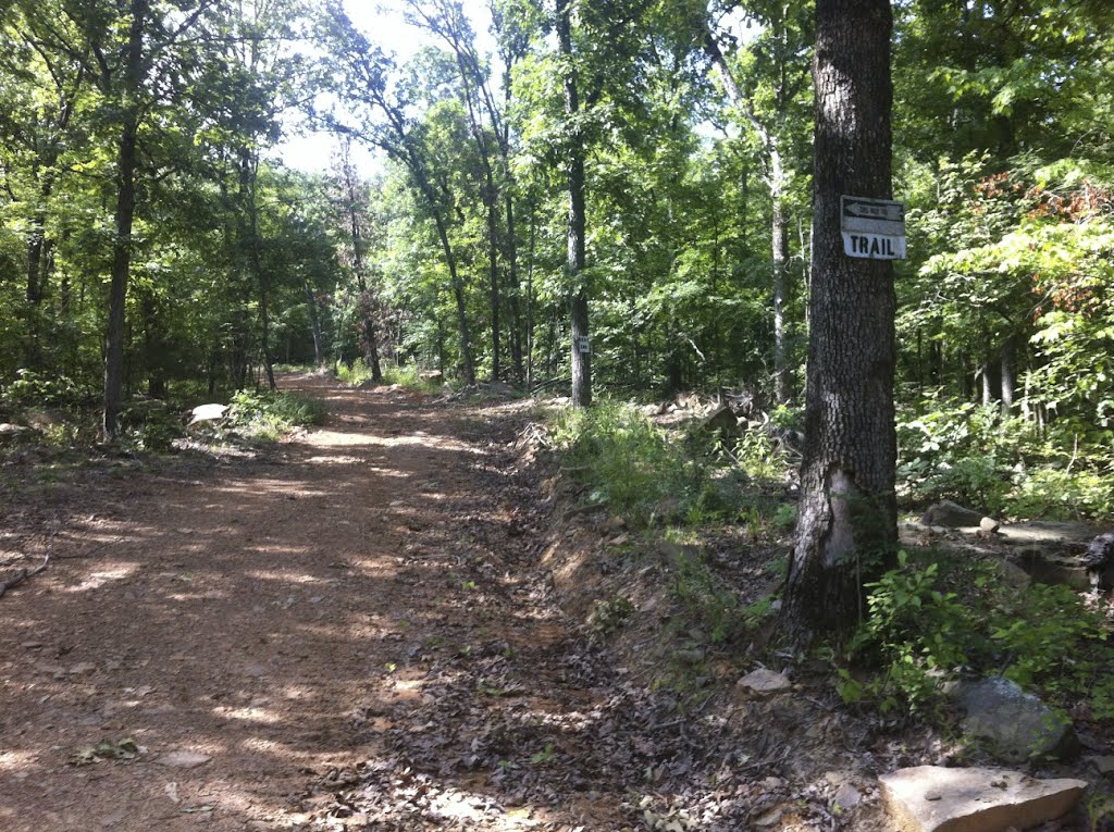 Joe Clark Trail, Lake Wilson, Fayetteville, AR