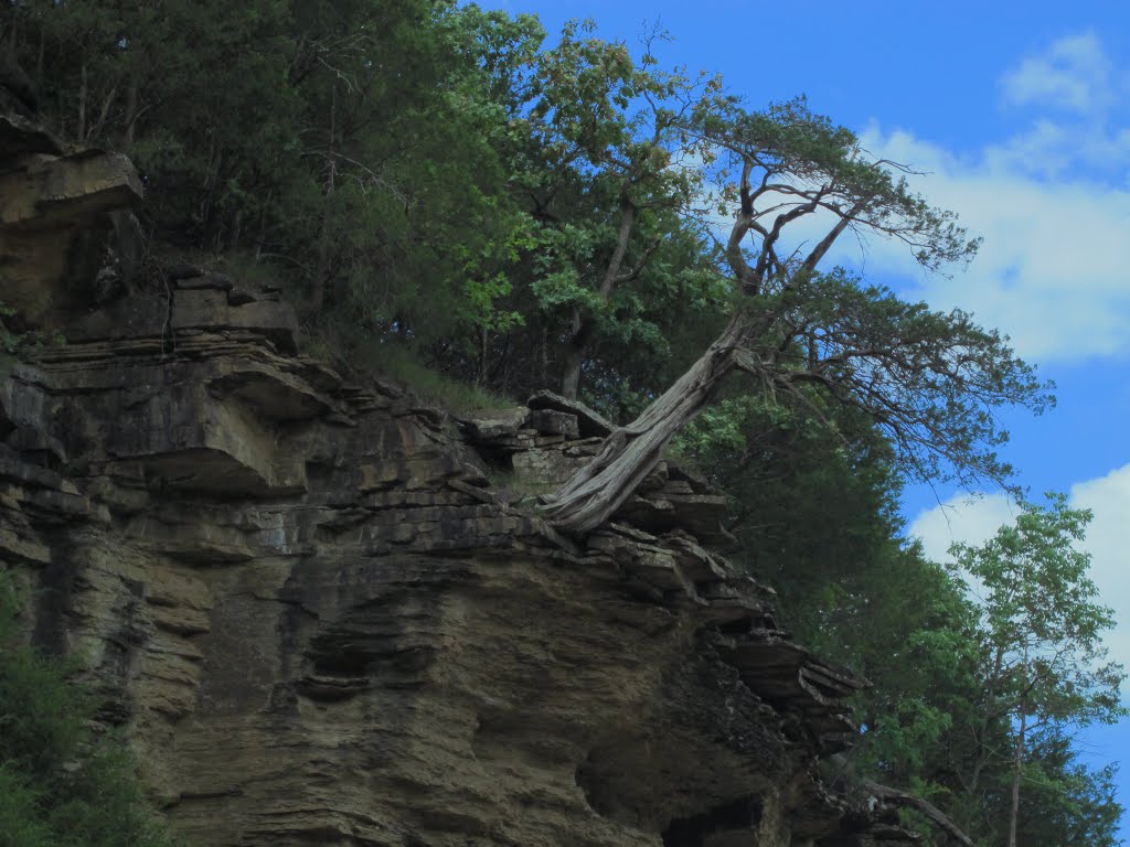 Devils Den State Park