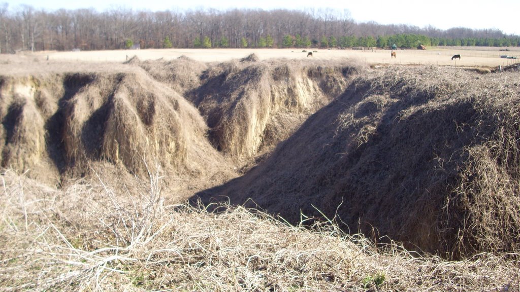 Fissures From The 1812 Earthquakes