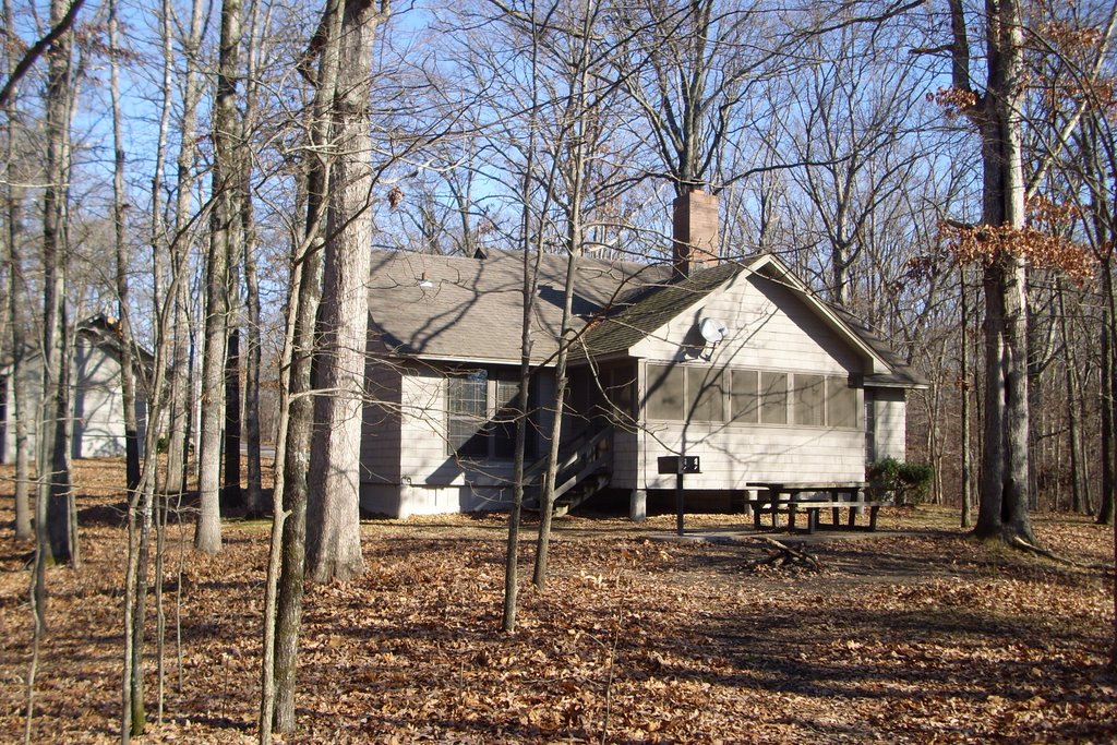 Cabin At Village Creek