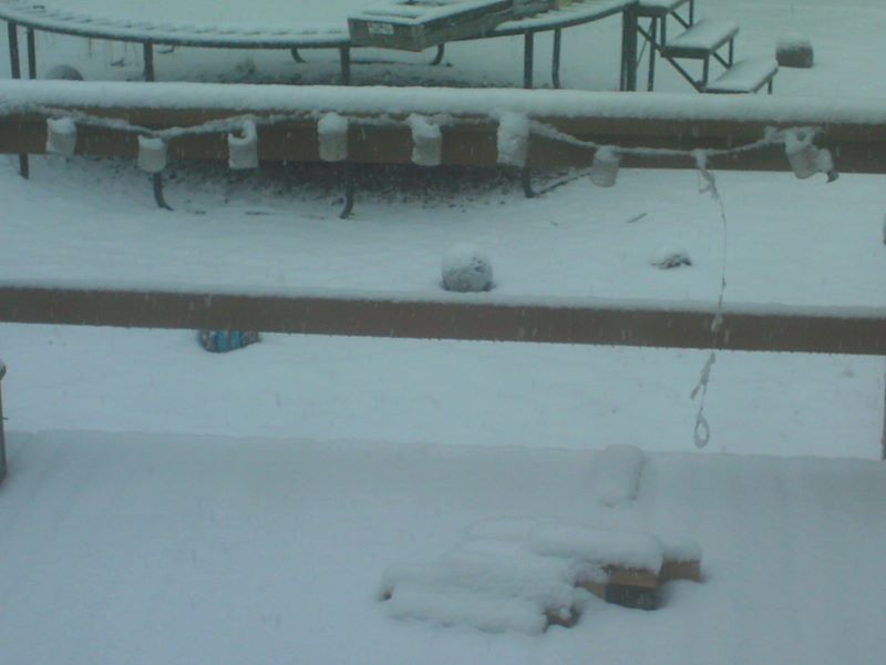 Snow in 2011