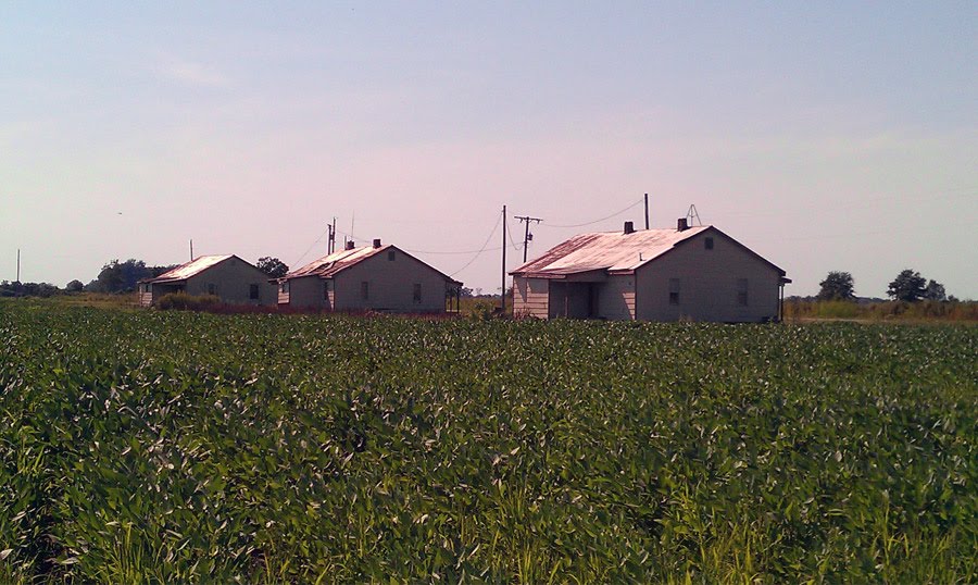 Crittenden County Arkansas http://www.crittendencountyarkansas.com/