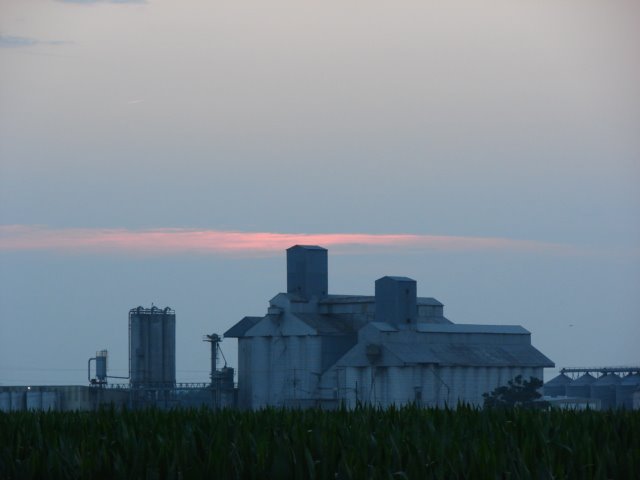 Rice Driers, England, AR