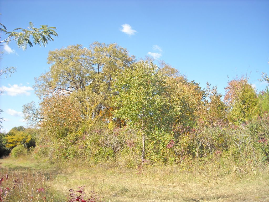 Starbird Cemetery, Alma, Arkansas, USA