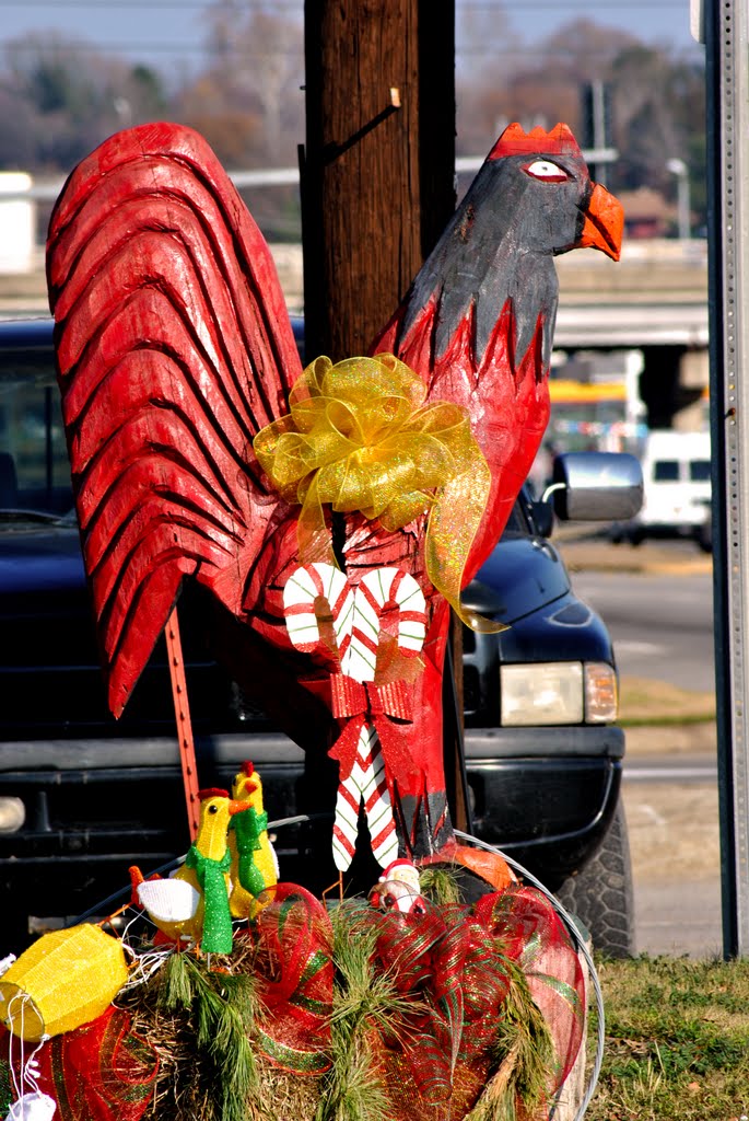 Red Rooster