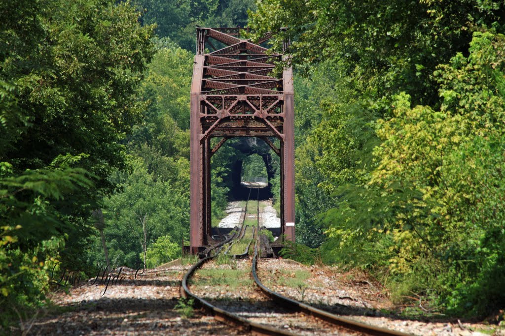 M&NA RR Bridge over the White River and Tunnel
