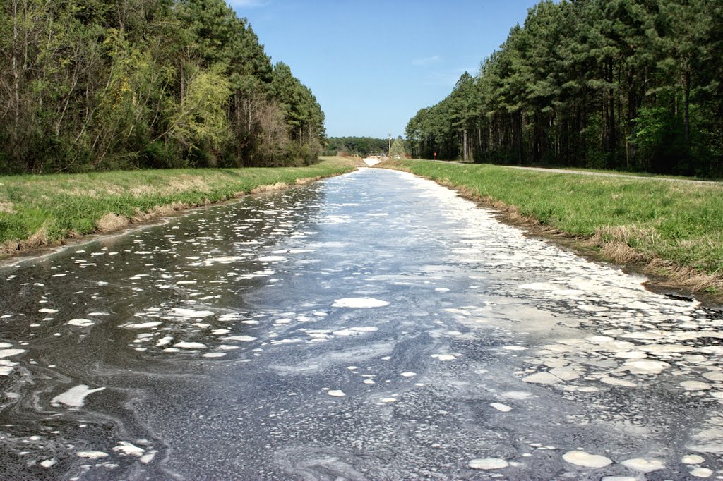 Coffee Creek