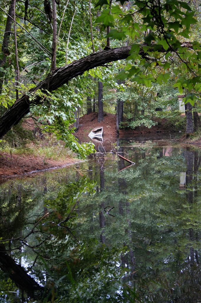 Across the pond.  Taken by Ralph Miles