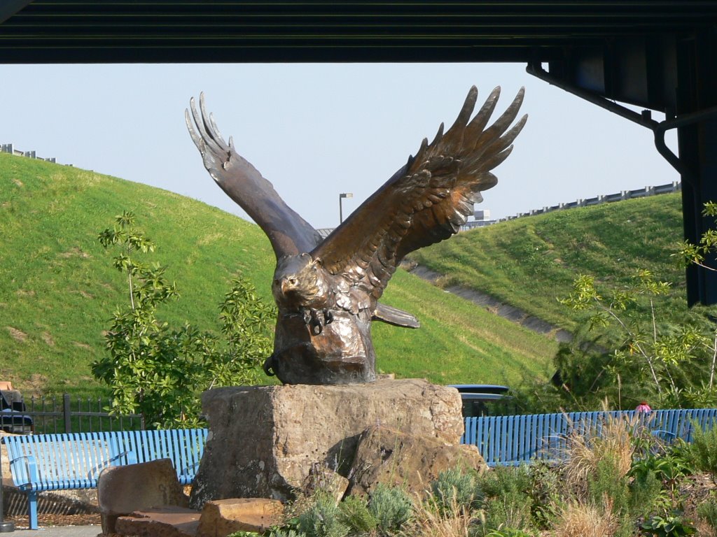 Eagle across from Clinton Presidential Library gift shop by Joe Recer