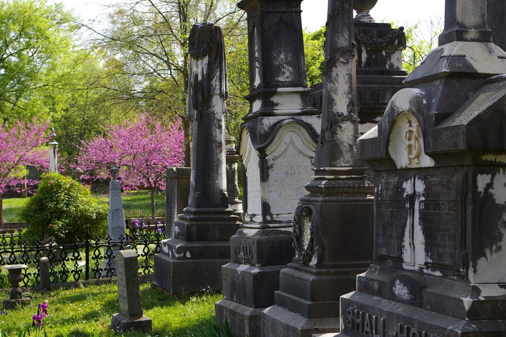 Mt. Holly Spring
