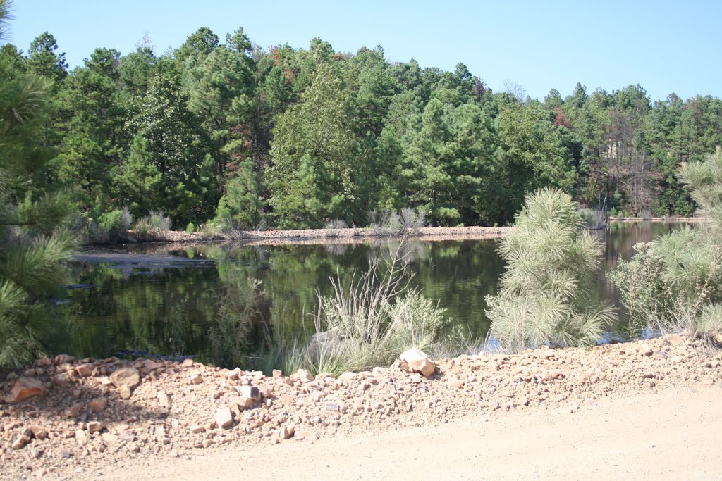 Nasty pond