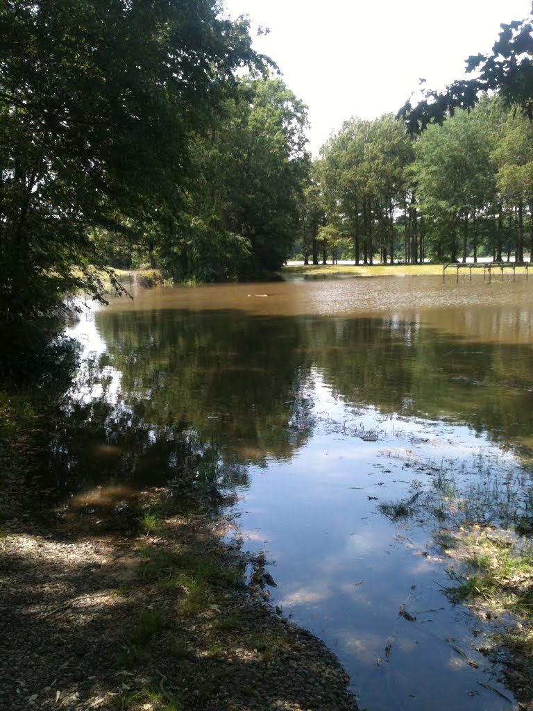 May 11, 2011