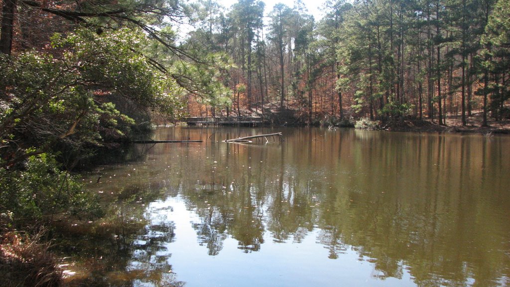 Logoly State Park, SW Arkansas