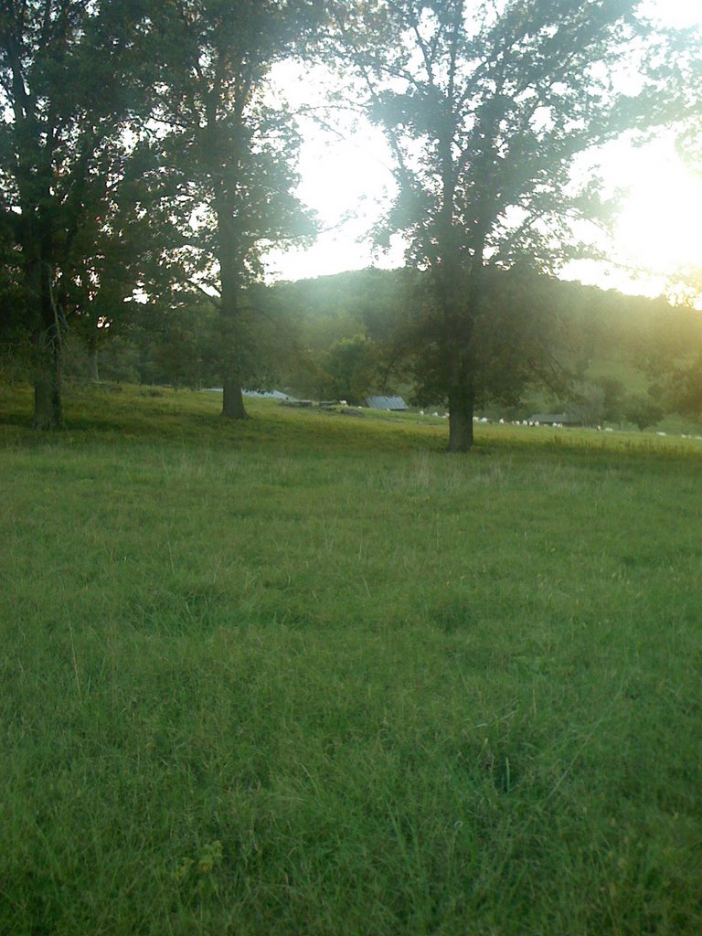 Ozarks near Yellville, Arkansas