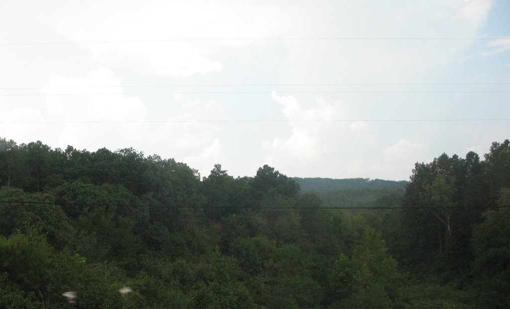 Far off trees near Hot Springs