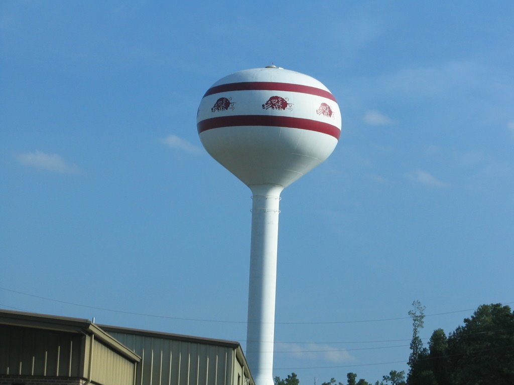 Water Tower
