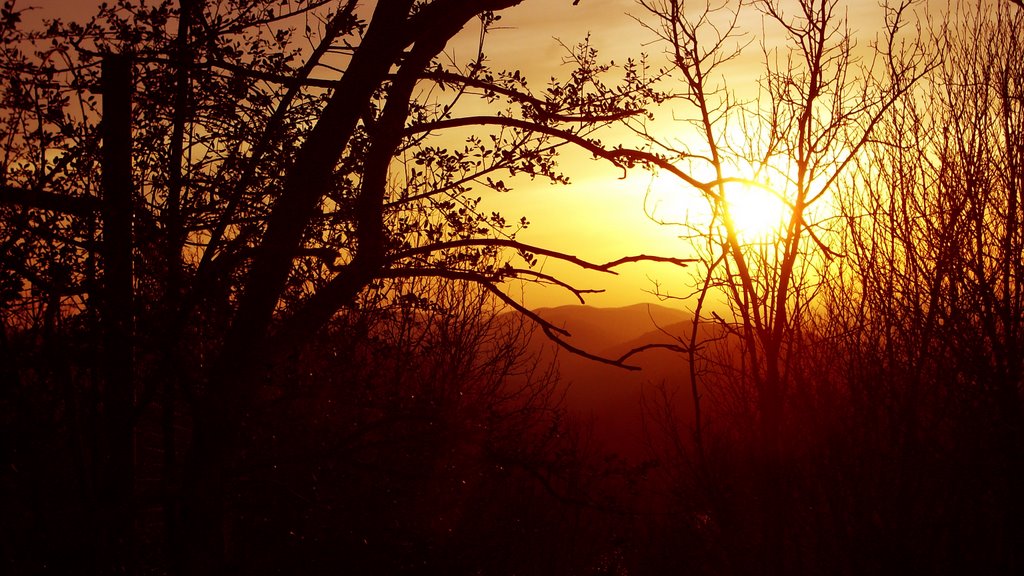 Sunset From Mt. Riante