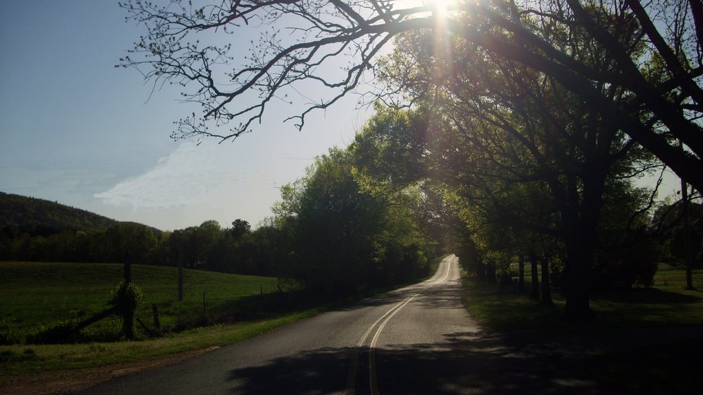 Sunlight On The Road